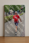 Evenement foto: Nijmeegse Vierdaagse 1109