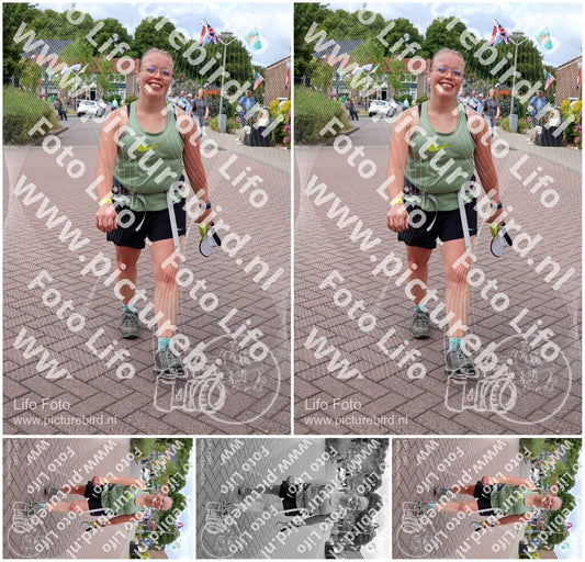 Evenement foto: Nijmeegse Vierdaagse 1109
