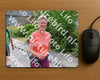 Evenement foto: Nijmeegse Vierdaagse 1109