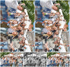 Evenement foto: Nijmeegse Vierdaagse 970