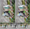 Evenement foto: Nijmeegse Vierdaagse 970