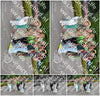 Evenement foto: Nijmeegse Vierdaagse 970