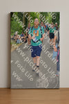 Evenement foto: Nijmeegse Vierdaagse 969