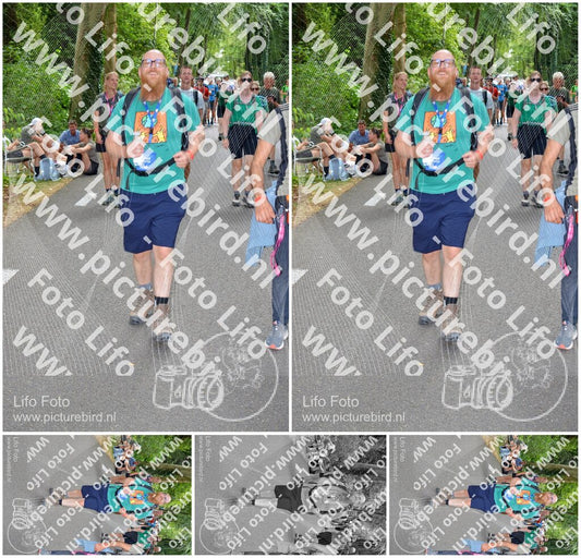 Evenement foto: Nijmeegse Vierdaagse 969