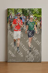 Evenement foto: Nijmeegse Vierdaagse 969