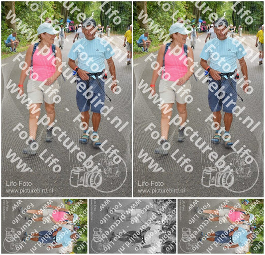 Evenement foto: Nijmeegse Vierdaagse 969
