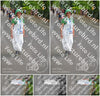 Evenement foto: Nijmeegse Vierdaagse 969