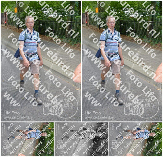 Evenement foto: Nijmeegse Vierdaagse 969