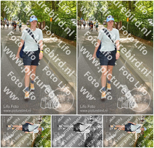 Evenement foto: Nijmeegse Vierdaagse 969