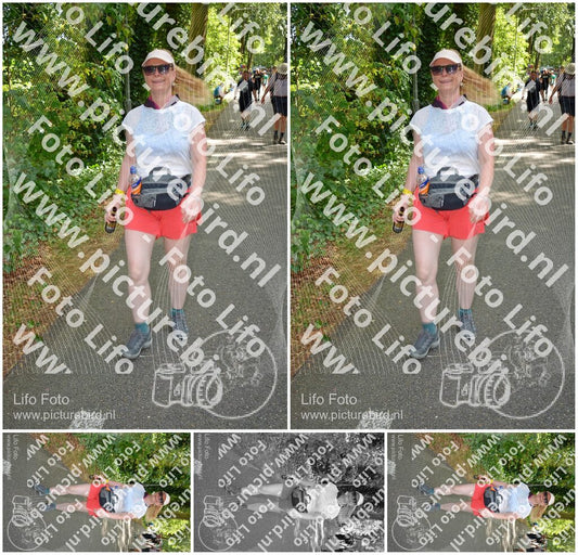Evenement foto: Nijmeegse Vierdaagse 969