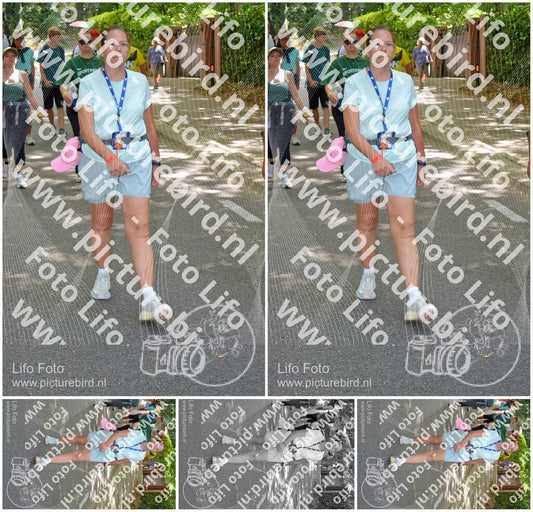 Evenement foto: Nijmeegse Vierdaagse 969