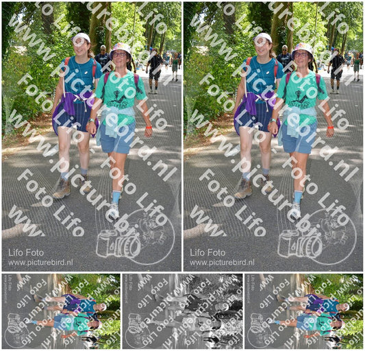 Evenement foto: Nijmeegse Vierdaagse 969