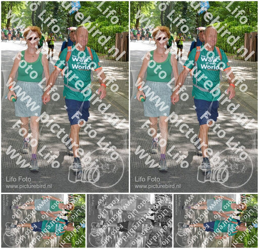 Evenement foto: Nijmeegse Vierdaagse 969