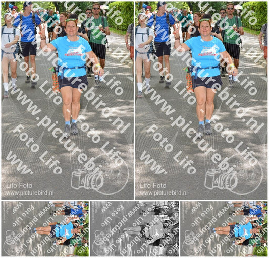 Evenement foto: Nijmeegse Vierdaagse 969