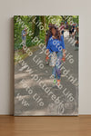 Evenement foto: Nijmeegse Vierdaagse 969