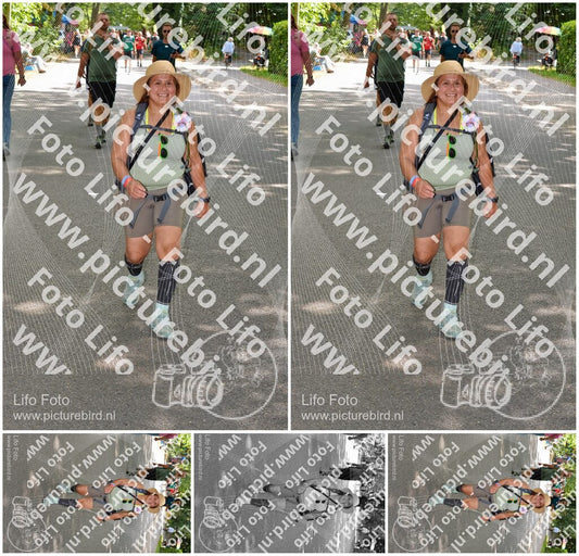 Evenement foto: Nijmeegse Vierdaagse 969