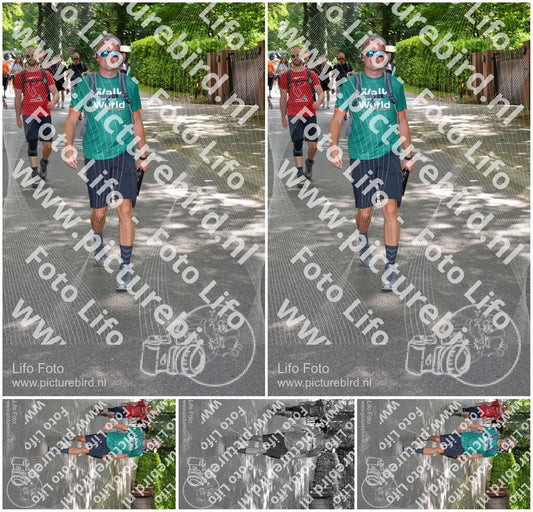 Evenement foto: Nijmeegse Vierdaagse 969
