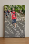 Evenement foto: Nijmeegse Vierdaagse 969