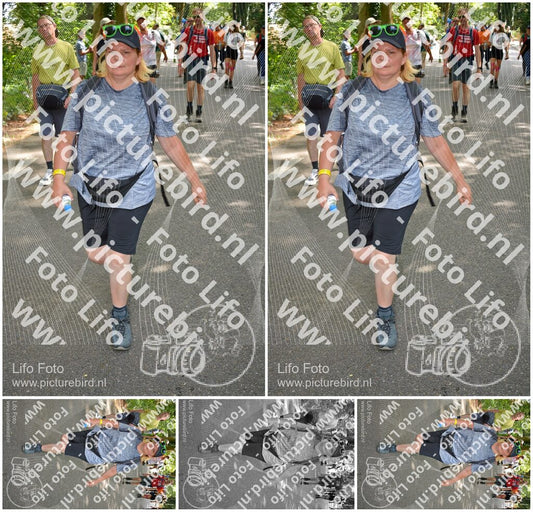 Evenement foto: Nijmeegse Vierdaagse 969