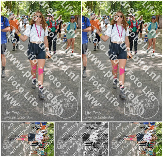Evenement foto: Nijmeegse Vierdaagse 969
