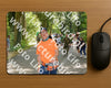 Evenement foto: Nijmeegse Vierdaagse 969