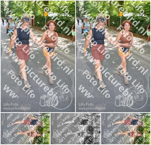 Evenement foto: Nijmeegse Vierdaagse 969