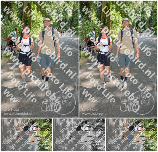 Evenement foto: Nijmeegse Vierdaagse 969