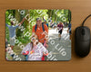 Evenement foto: Nijmeegse Vierdaagse 969