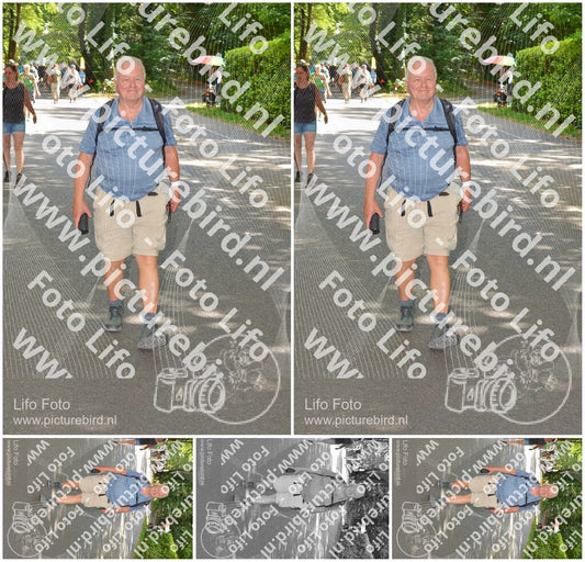 Evenement foto: Nijmeegse Vierdaagse 969