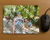 Evenement foto: Nijmeegse Vierdaagse 969