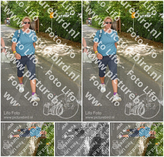 Evenement foto: Nijmeegse Vierdaagse 969
