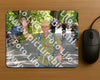 Evenement foto: Nijmeegse Vierdaagse 969