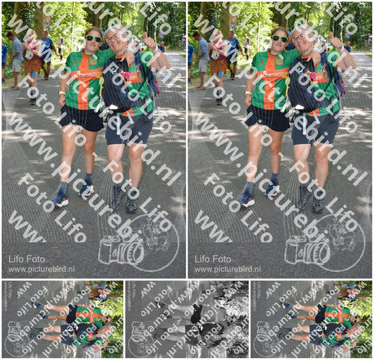 Evenement foto: Nijmeegse Vierdaagse 969
