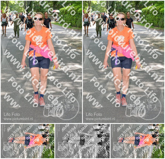 Evenement foto: Nijmeegse Vierdaagse 969