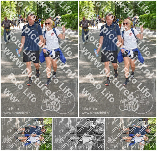 Evenement foto: Nijmeegse Vierdaagse 969