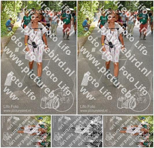 Evenement foto: Nijmeegse Vierdaagse 968