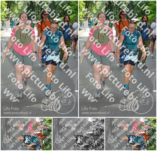 Evenement foto: Nijmeegse Vierdaagse 968