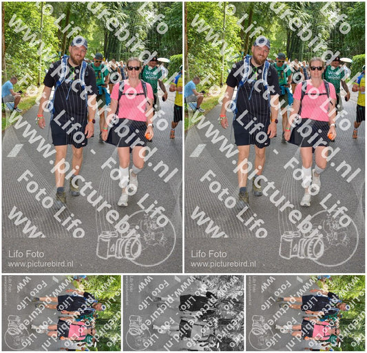 Evenement foto: Nijmeegse Vierdaagse 968