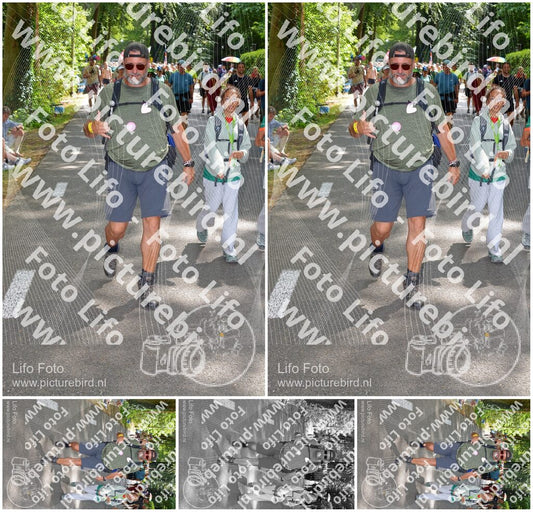 Evenement foto: Nijmeegse Vierdaagse 968
