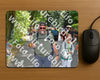 Evenement foto: Nijmeegse Vierdaagse 968