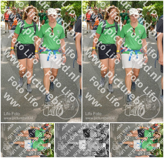 Evenement foto: Nijmeegse Vierdaagse 968