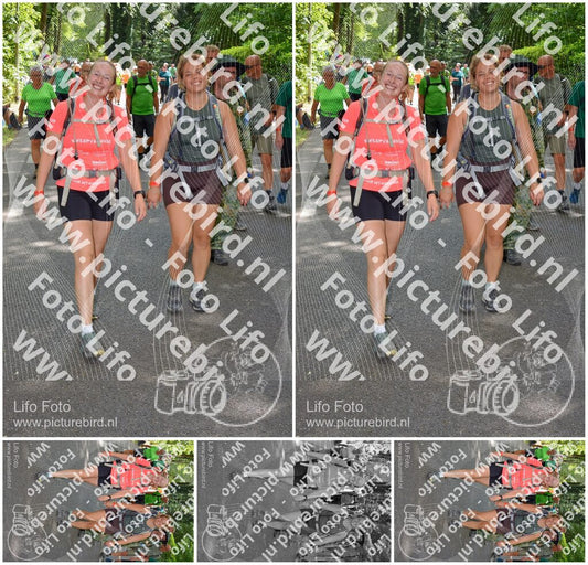 Evenement foto: Nijmeegse Vierdaagse 968