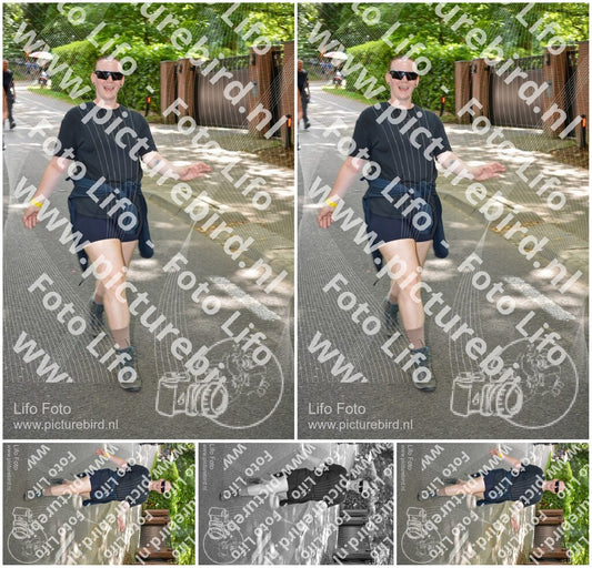 Evenement foto: Nijmeegse Vierdaagse 968