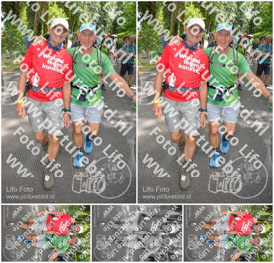 Evenement foto: Nijmeegse Vierdaagse 968