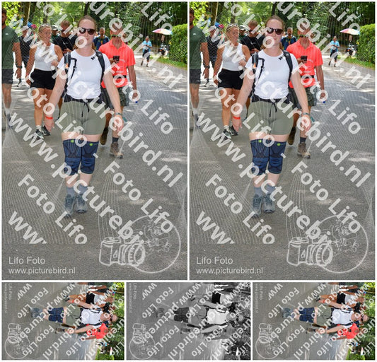 Evenement foto: Nijmeegse Vierdaagse 968
