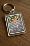 Evenement foto: Nijmeegse Vierdaagse 968