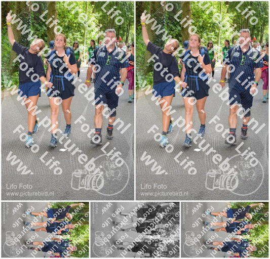 Evenement foto: Nijmeegse Vierdaagse 968