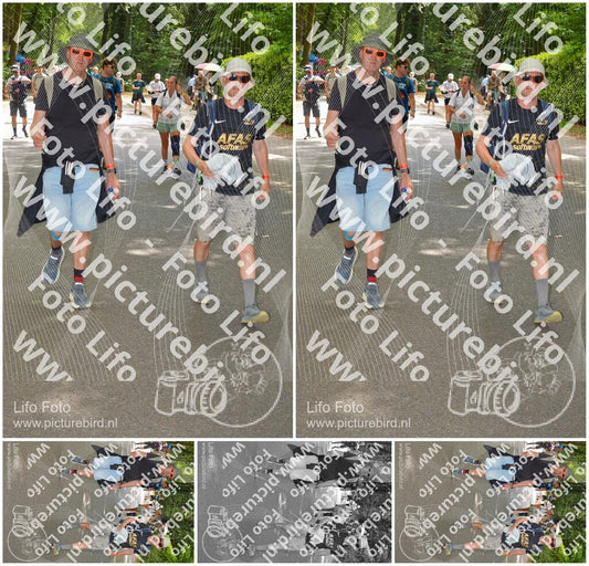 Evenement foto: Nijmeegse Vierdaagse 968