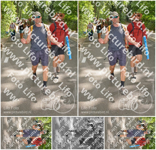 Evenement foto: Nijmeegse Vierdaagse 968