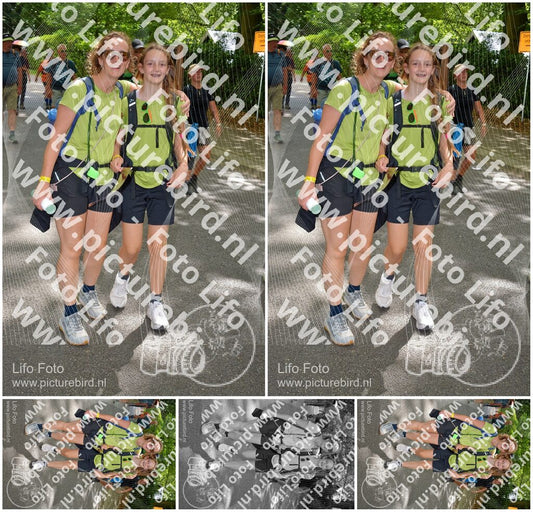 Evenement foto: Nijmeegse Vierdaagse 968
